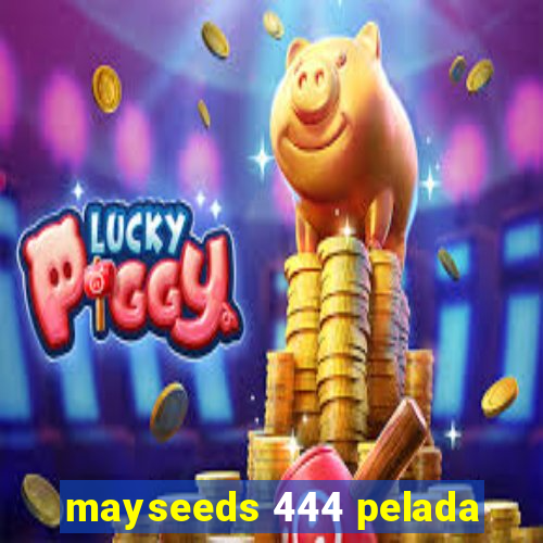 mayseeds 444 pelada